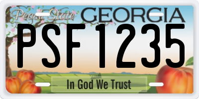 GA license plate PSF1235