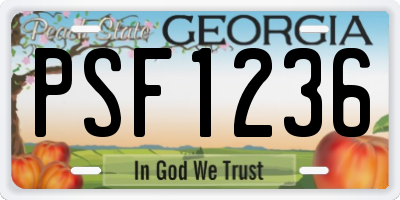 GA license plate PSF1236