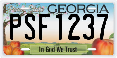 GA license plate PSF1237