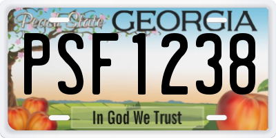 GA license plate PSF1238