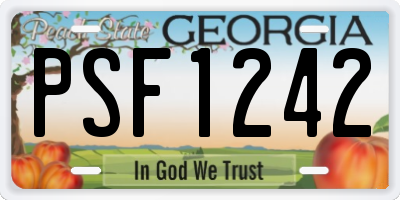 GA license plate PSF1242