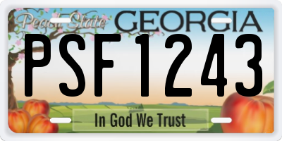 GA license plate PSF1243