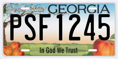 GA license plate PSF1245