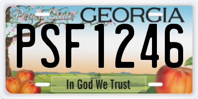 GA license plate PSF1246