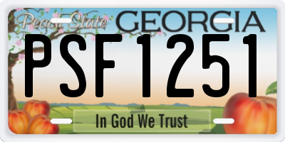GA license plate PSF1251