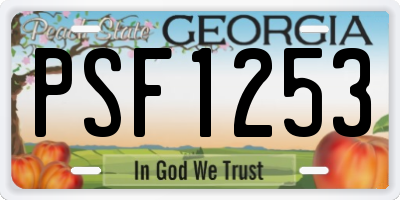 GA license plate PSF1253