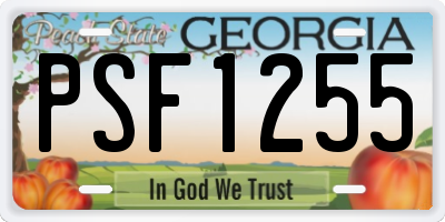 GA license plate PSF1255