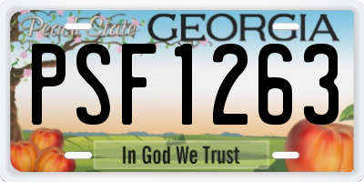 GA license plate PSF1263