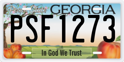 GA license plate PSF1273