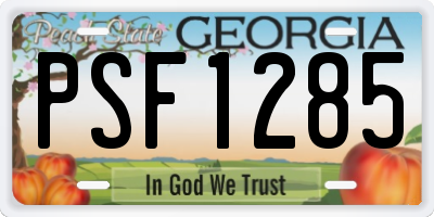 GA license plate PSF1285