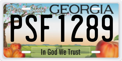 GA license plate PSF1289