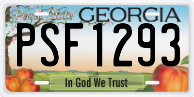GA license plate PSF1293