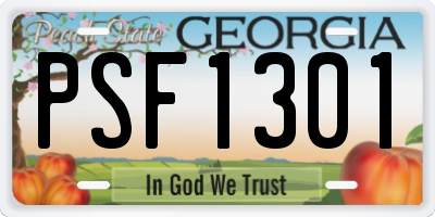 GA license plate PSF1301