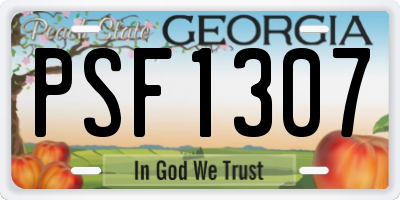 GA license plate PSF1307