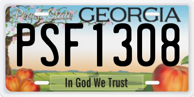 GA license plate PSF1308