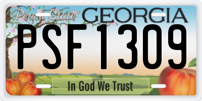 GA license plate PSF1309