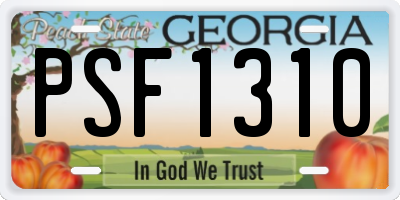 GA license plate PSF1310