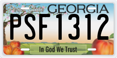 GA license plate PSF1312