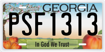GA license plate PSF1313