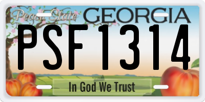 GA license plate PSF1314