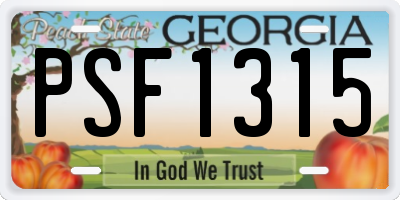 GA license plate PSF1315