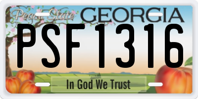 GA license plate PSF1316