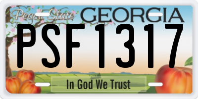 GA license plate PSF1317