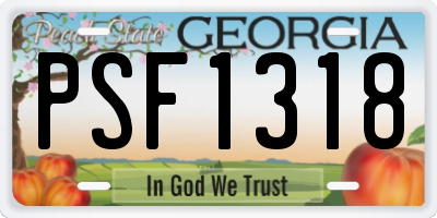 GA license plate PSF1318
