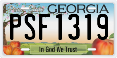GA license plate PSF1319