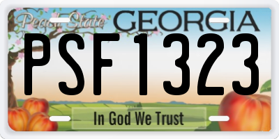 GA license plate PSF1323