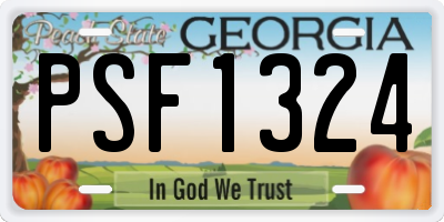 GA license plate PSF1324