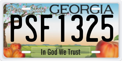 GA license plate PSF1325