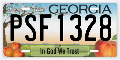 GA license plate PSF1328