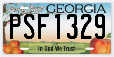GA license plate PSF1329