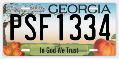 GA license plate PSF1334