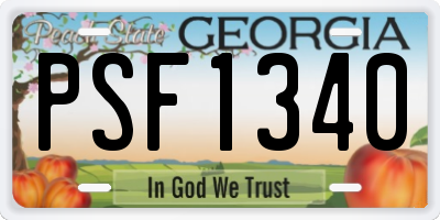 GA license plate PSF1340