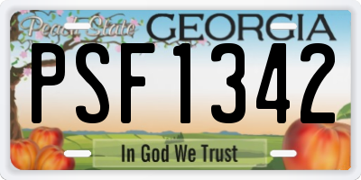 GA license plate PSF1342
