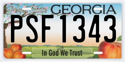 GA license plate PSF1343