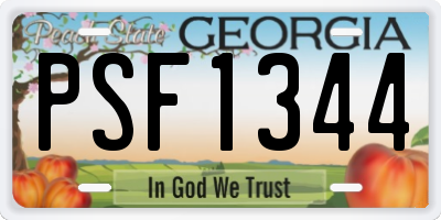 GA license plate PSF1344