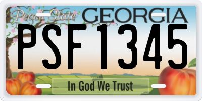 GA license plate PSF1345