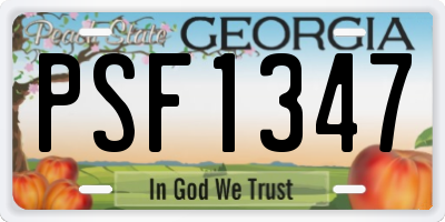 GA license plate PSF1347