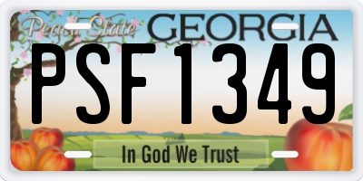 GA license plate PSF1349