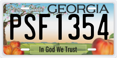 GA license plate PSF1354