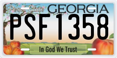 GA license plate PSF1358