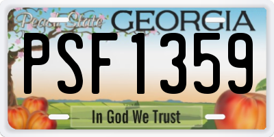 GA license plate PSF1359