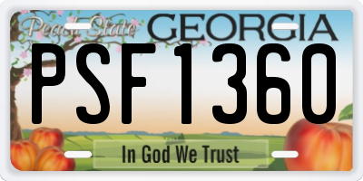 GA license plate PSF1360