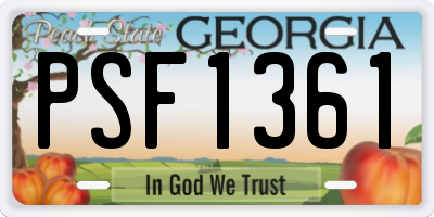 GA license plate PSF1361