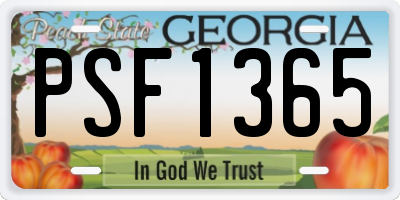 GA license plate PSF1365