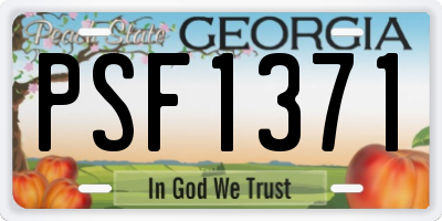 GA license plate PSF1371