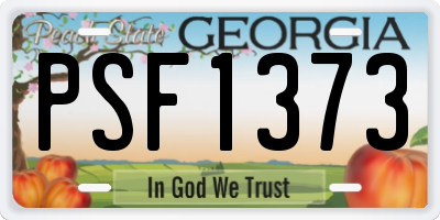 GA license plate PSF1373